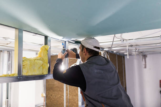 Best Cellulose Insulation in Grosse Pointe Park, MI