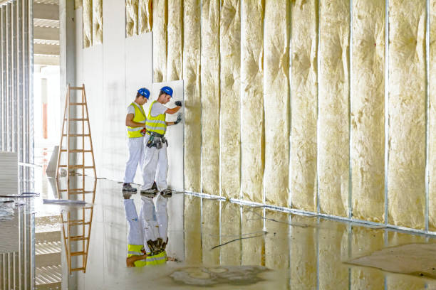 Types of Insulation We Offer in Grosse Pointe Park, MI